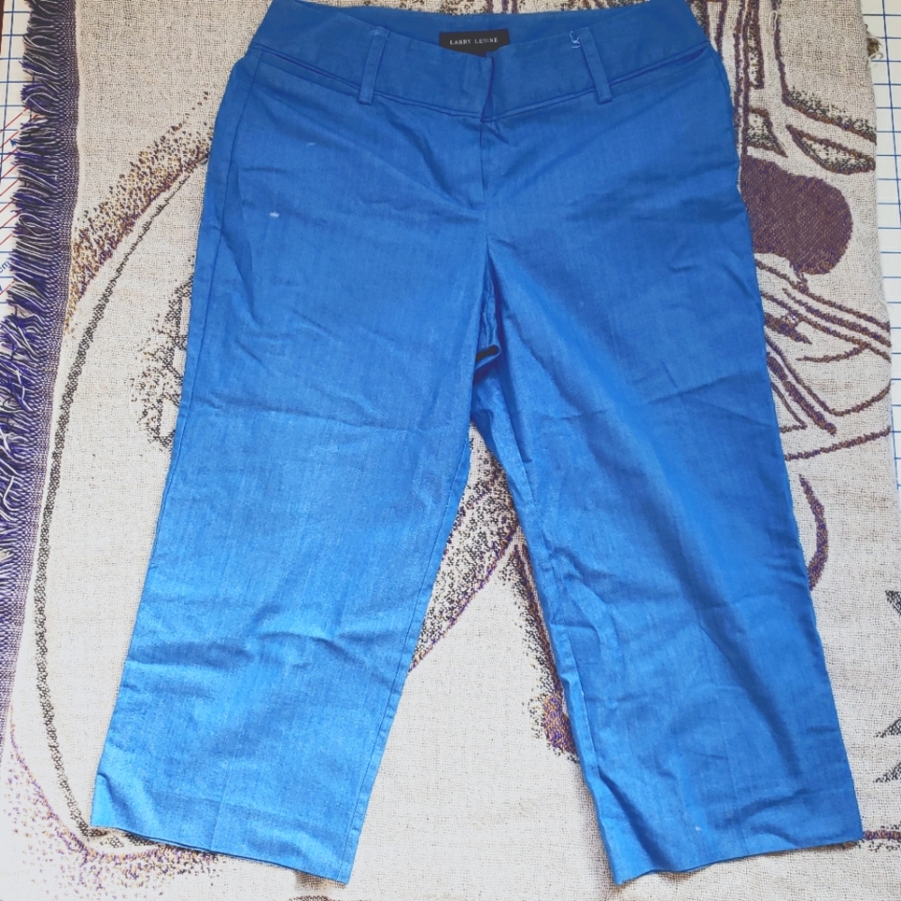 Larry Levine Blue Capri Pants | Women’s Size 12 | Stretch Bermuda Capris